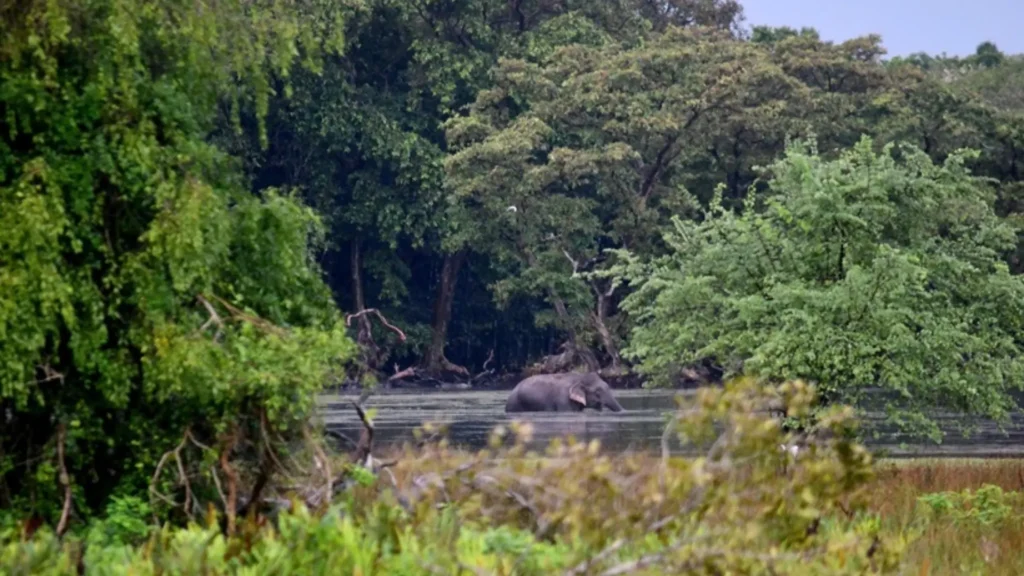 Natural villu lake - Wilpattu national park