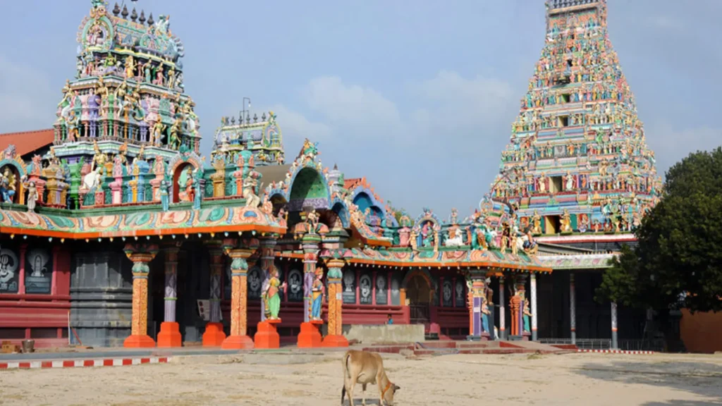 Tamil heritage