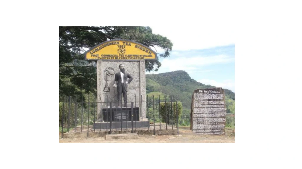 pioneer of Ceylon Tea