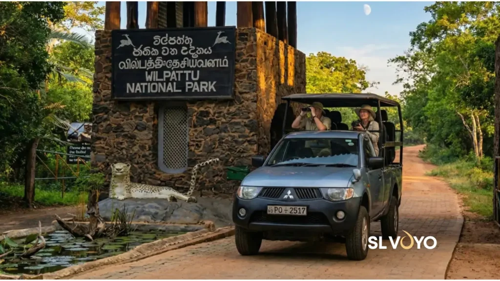 wilpattu safari enterance safari jeep