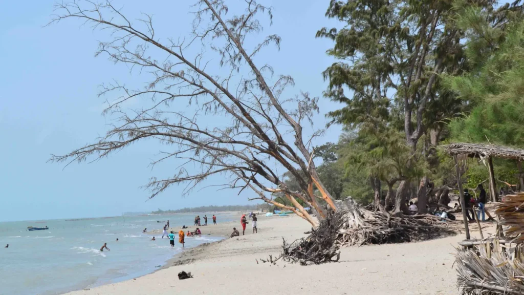 Casuarina Beach with silver sands