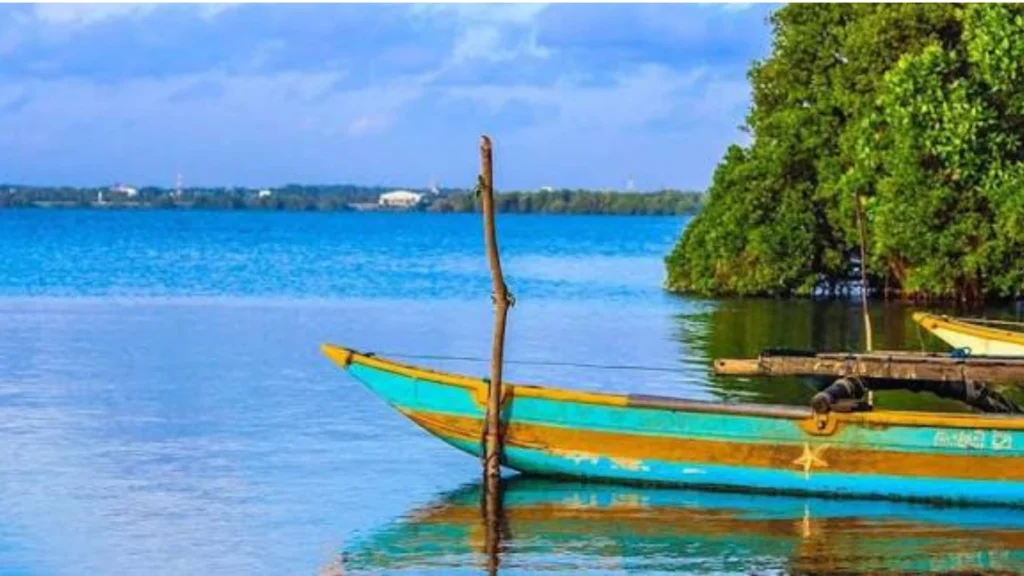 Chilaw coastline