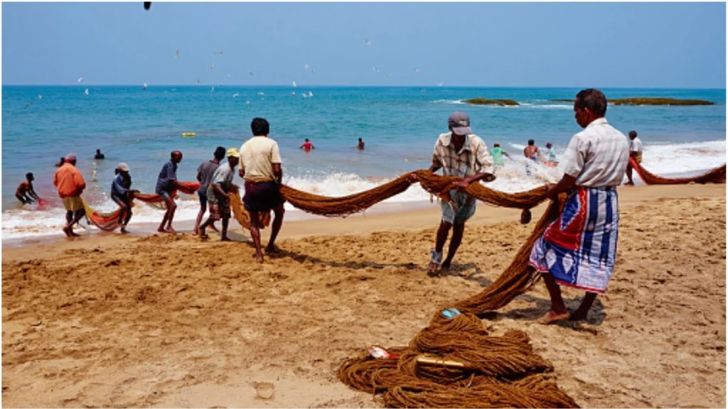 Chilaw fishing harbour