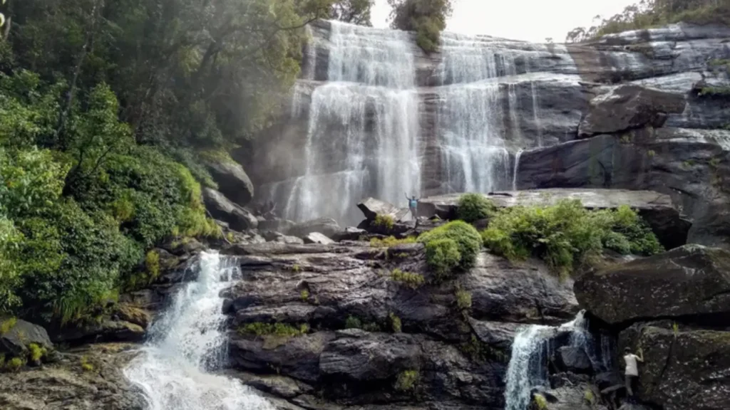 Eli hatha waterfall forest