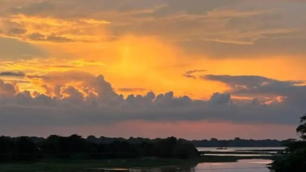 Golden sunset 1