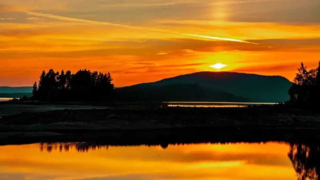 Golden sunset -river and forest