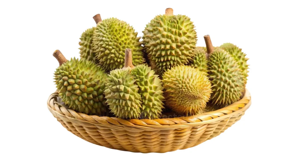 Large durian fruit