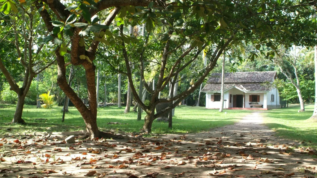 Martin Wickramasinghe Folk Museum1