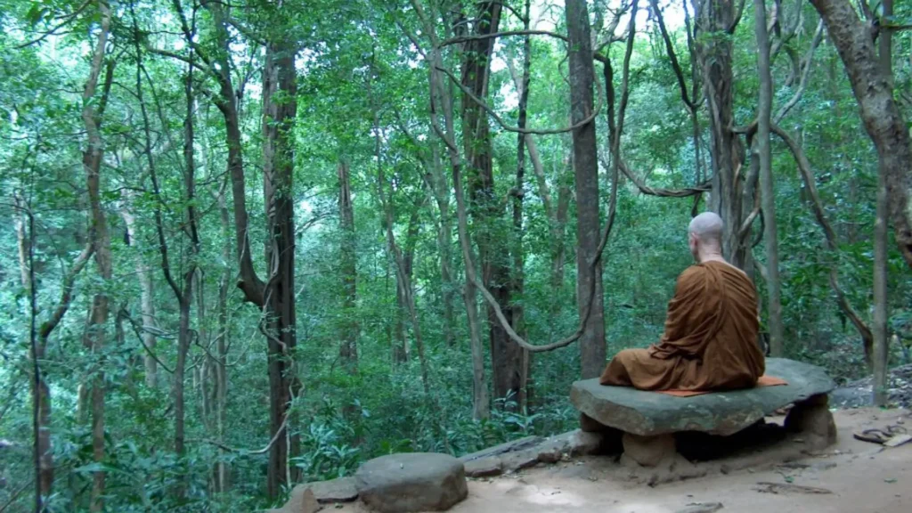 Monks seated in meditation enviroment