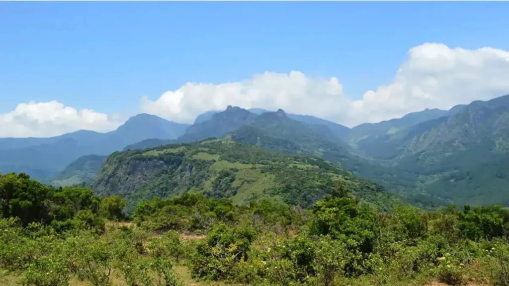 Panoramic view of the mist-covered Dumbara mountain