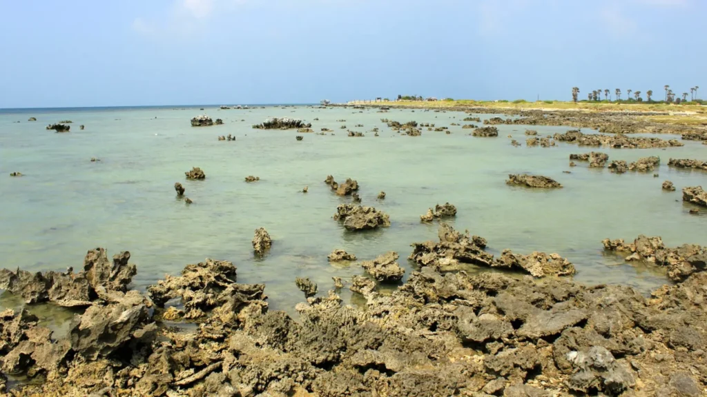 The Jaffna–Karainagar causeway1