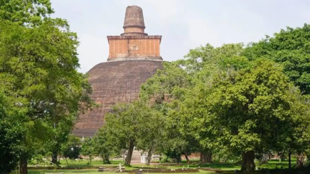 The stupa sarounding the trees
