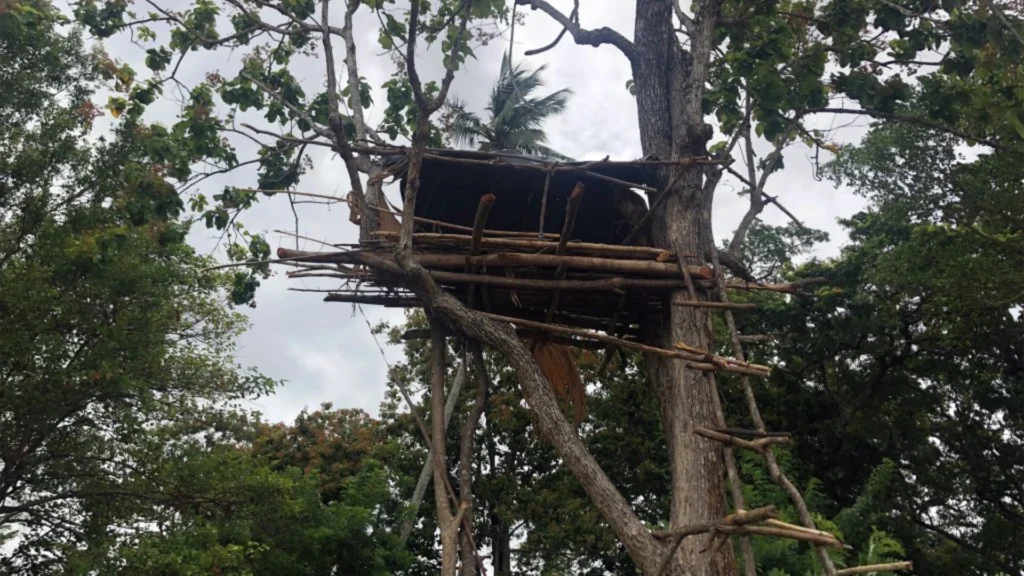 Treehouse
