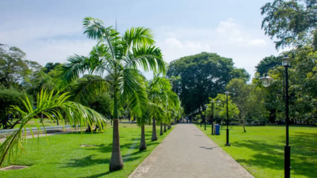 Viharamahadevi park green pathways