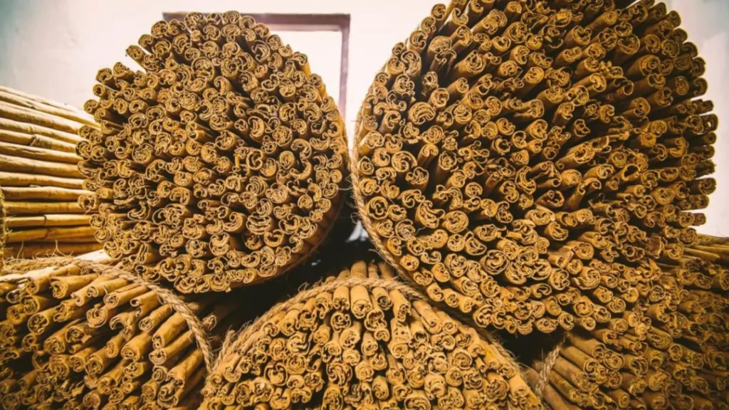 fresh bark store