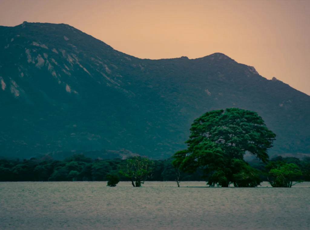 peaceful landscape of Kala Wewa