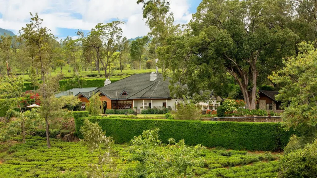 Colonial-style buildings and tea estates