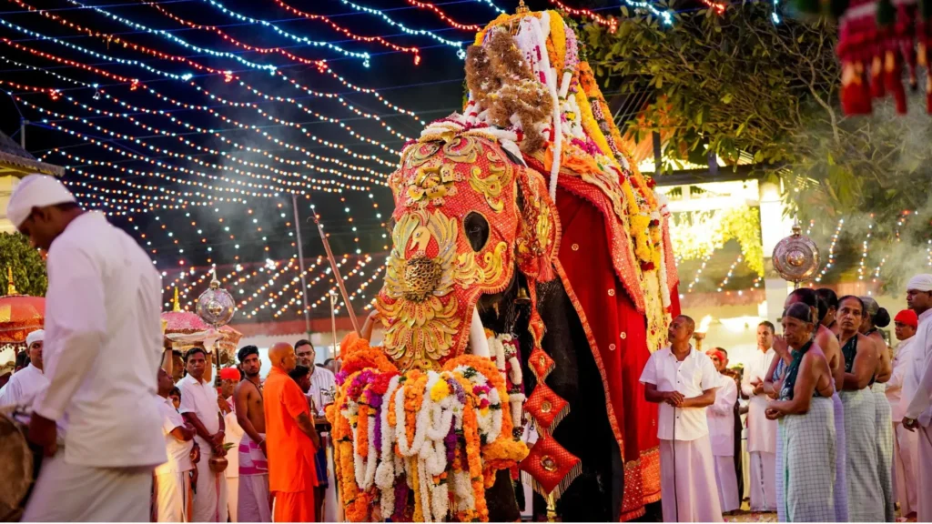 Decorated elephant and traditional procession
