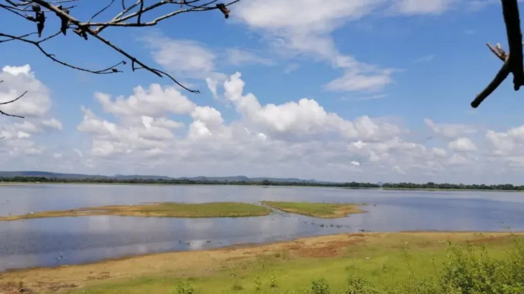 Minneriya wewa