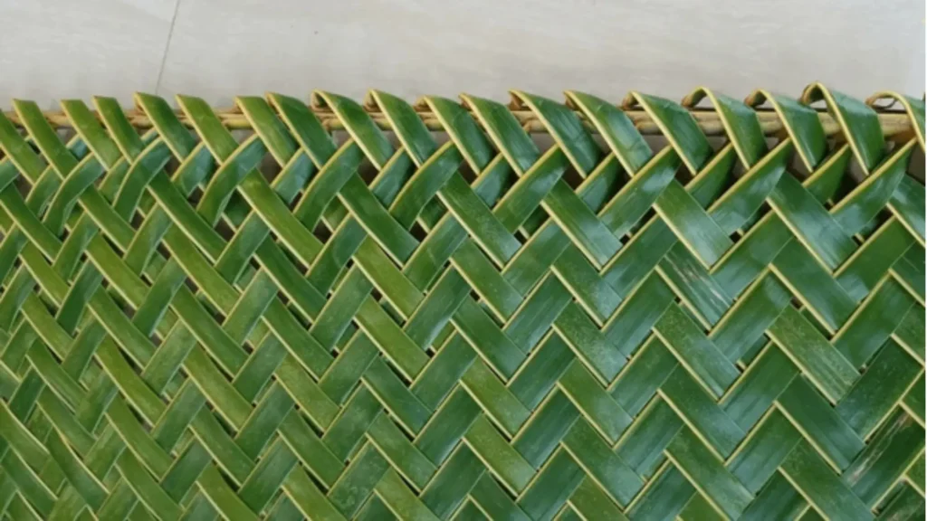 PolAthu Arts