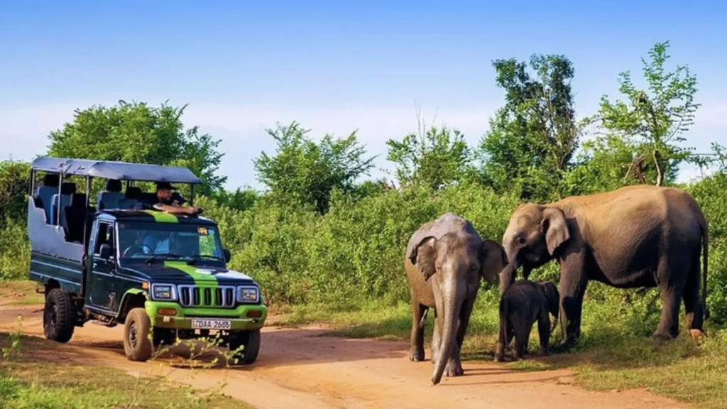 Safari jeep near elephant