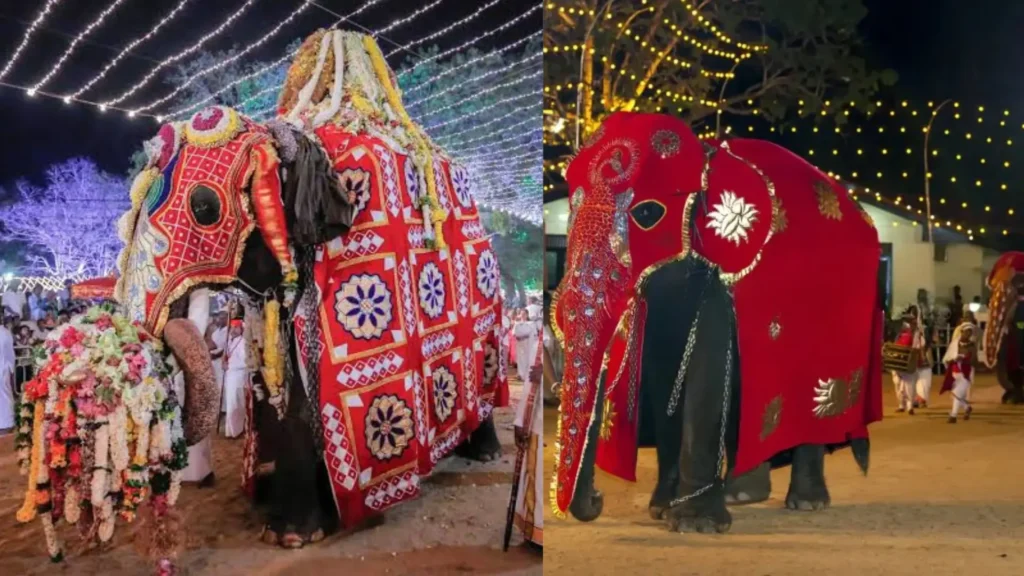 Temple elephant carrying the ceremonial bundle