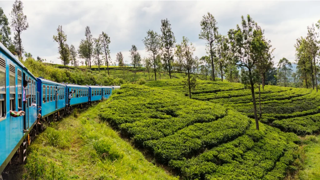Train travelling through the hill country