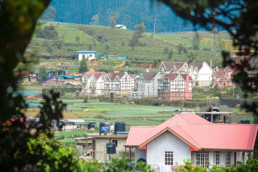 Nuwara eliya view