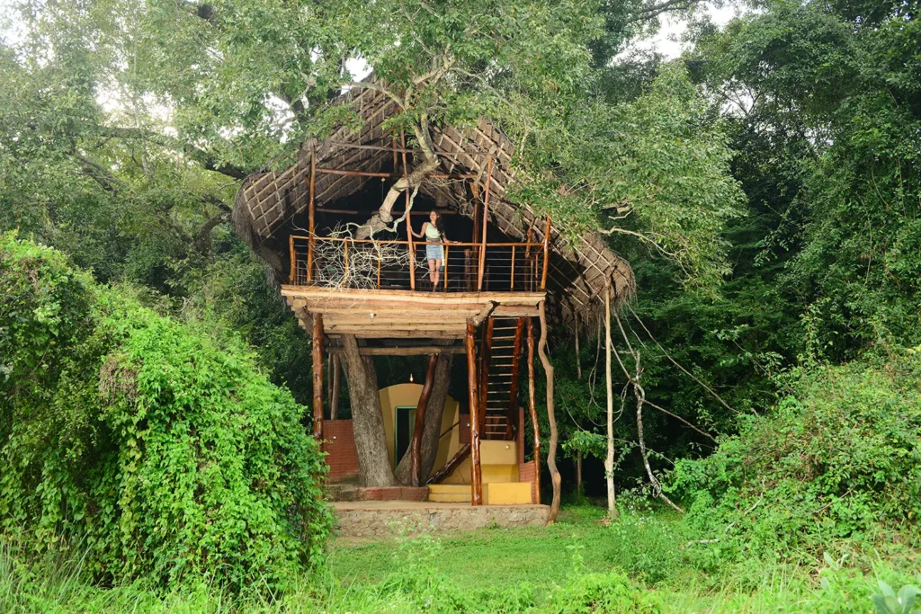 Jungle area cabana